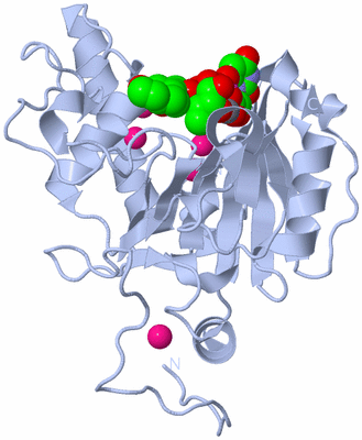 Image Biological Unit 1