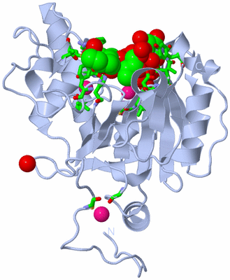 Image Biol. Unit 1 - sites