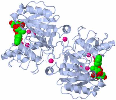 Image Biological Unit 2