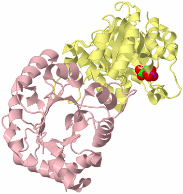 Image Biological Unit 2