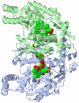 Image Asym./Biol. Unit