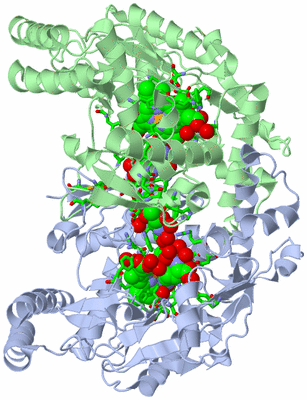 Image Asym./Biol. Unit - sites