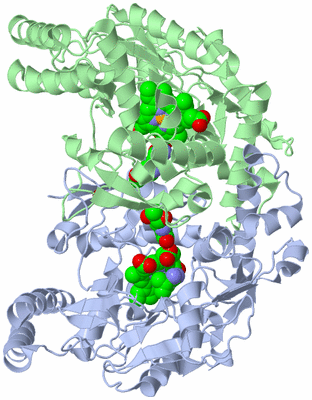 Image Asym./Biol. Unit