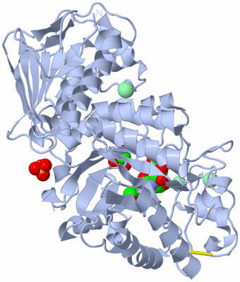 Image Biological Unit 1