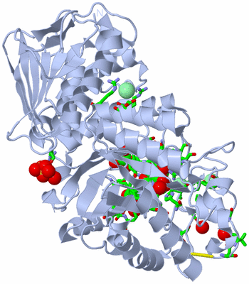 Image Biol. Unit 1 - sites