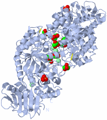 Image Biological Unit 2