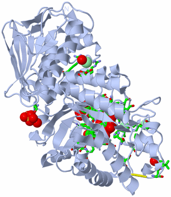 Image Biol. Unit 1 - sites