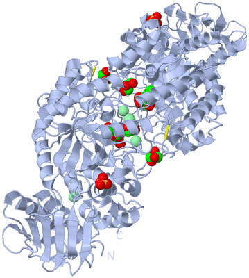 Image Biological Unit 2