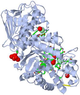 Image Biol. Unit 1 - sites