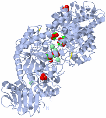 Image Biological Unit 2