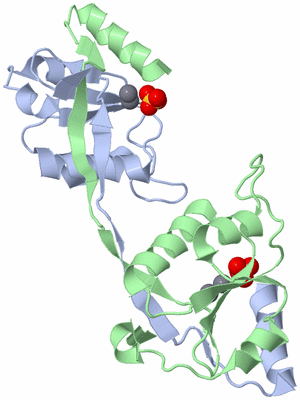 Image Biological Unit 1