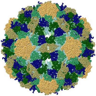 Image Biological Unit 1