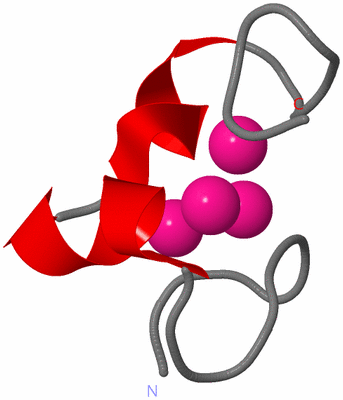 Image NMR Structure - model 1