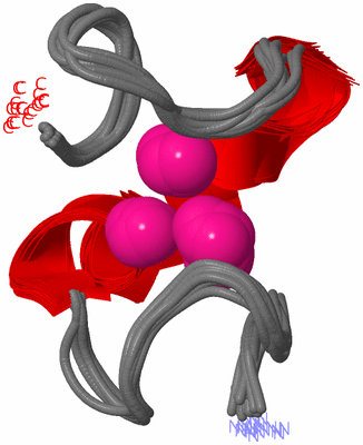 Image NMR Structure - all models