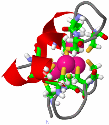 Image NMR Structure - model 1, sites