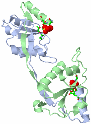 Image Biol. Unit 1 - sites