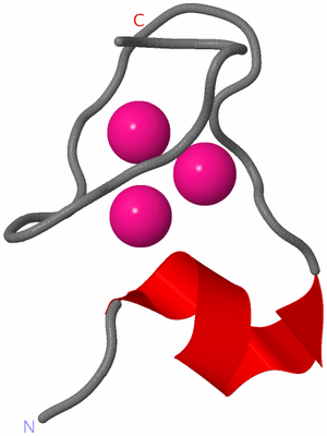 Image NMR Structure - model 1