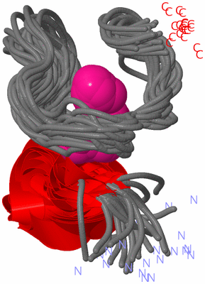 Image NMR Structure - all models