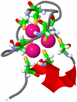 Image NMR Structure - model 1, sites