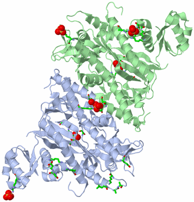 Image Biol. Unit 1 - sites