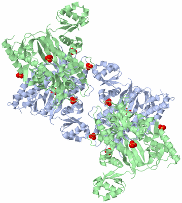 Image Biological Unit 3