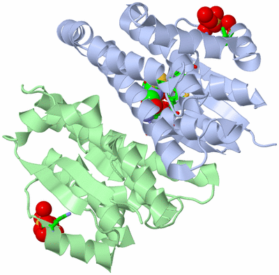 Image Asym./Biol. Unit - sites