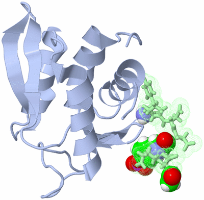 Image NMR Structure - model 1