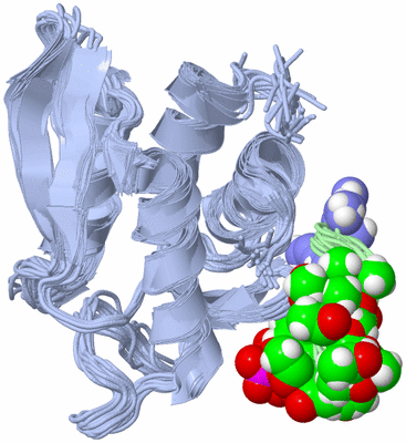 Image NMR Structure - all models