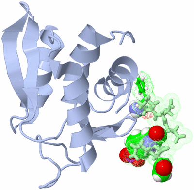 Image NMR Structure - model 1, sites