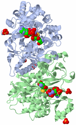 Image Asym./Biol. Unit