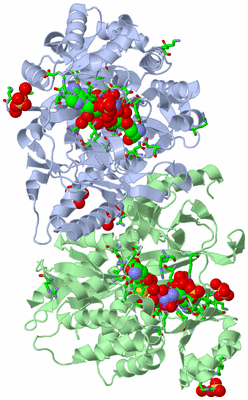 Image Asym./Biol. Unit - sites