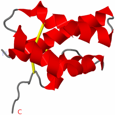 Image NMR Structure - model 1