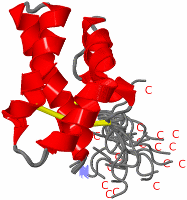 Image NMR Structure - all models