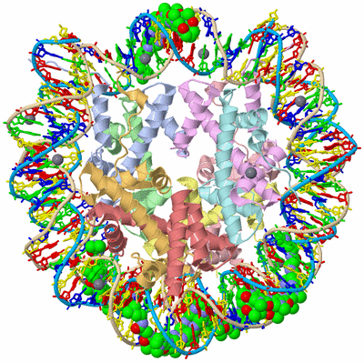 Image Asym./Biol. Unit
