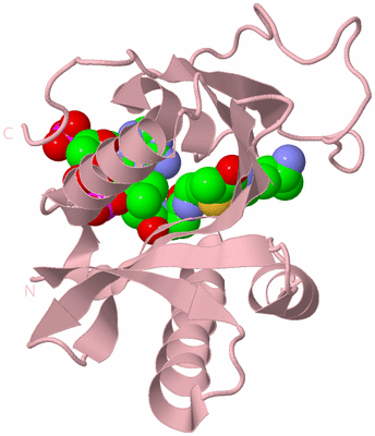 Image Biological Unit 2