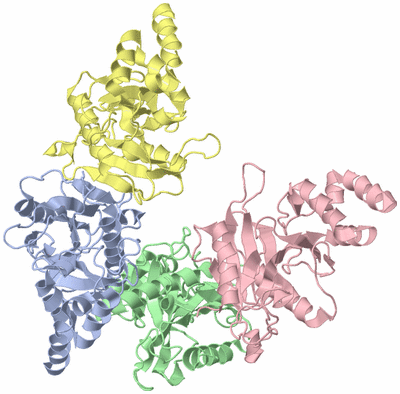 Image Asym./Biol. Unit