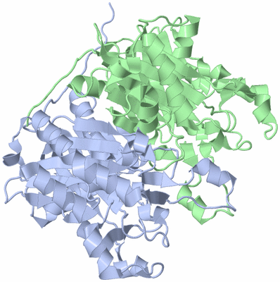 Image Asym./Biol. Unit