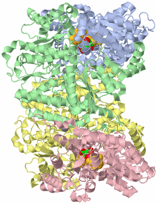 Image Biological Unit 1