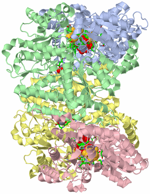 Image Biol. Unit 1 - sites