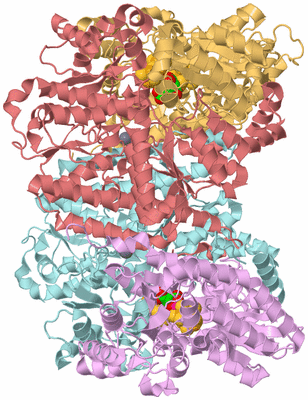 Image Biological Unit 2