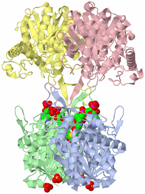 Image Asym./Biol. Unit