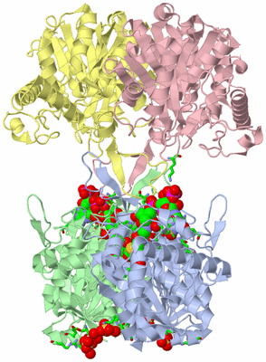 Image Asym./Biol. Unit - sites