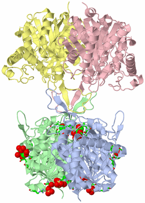 Image Asym./Biol. Unit - sites