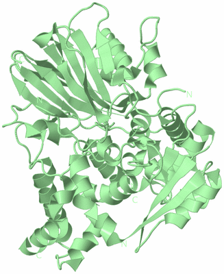 Image Biological Unit 2