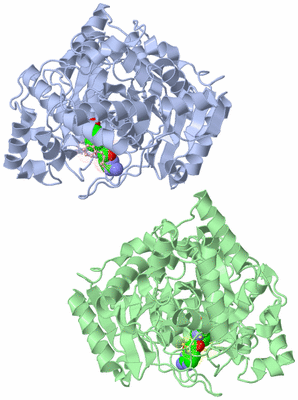 Image Asymmetric Unit