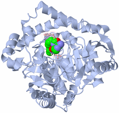 Image Biological Unit 1