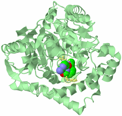Image Biological Unit 2