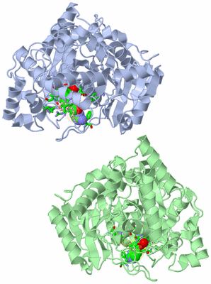 Image Asym. Unit - sites