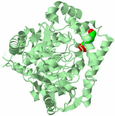 Image Biological Unit 2