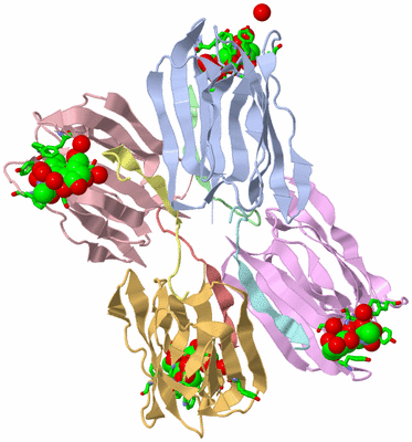 Image Asym./Biol. Unit - sites